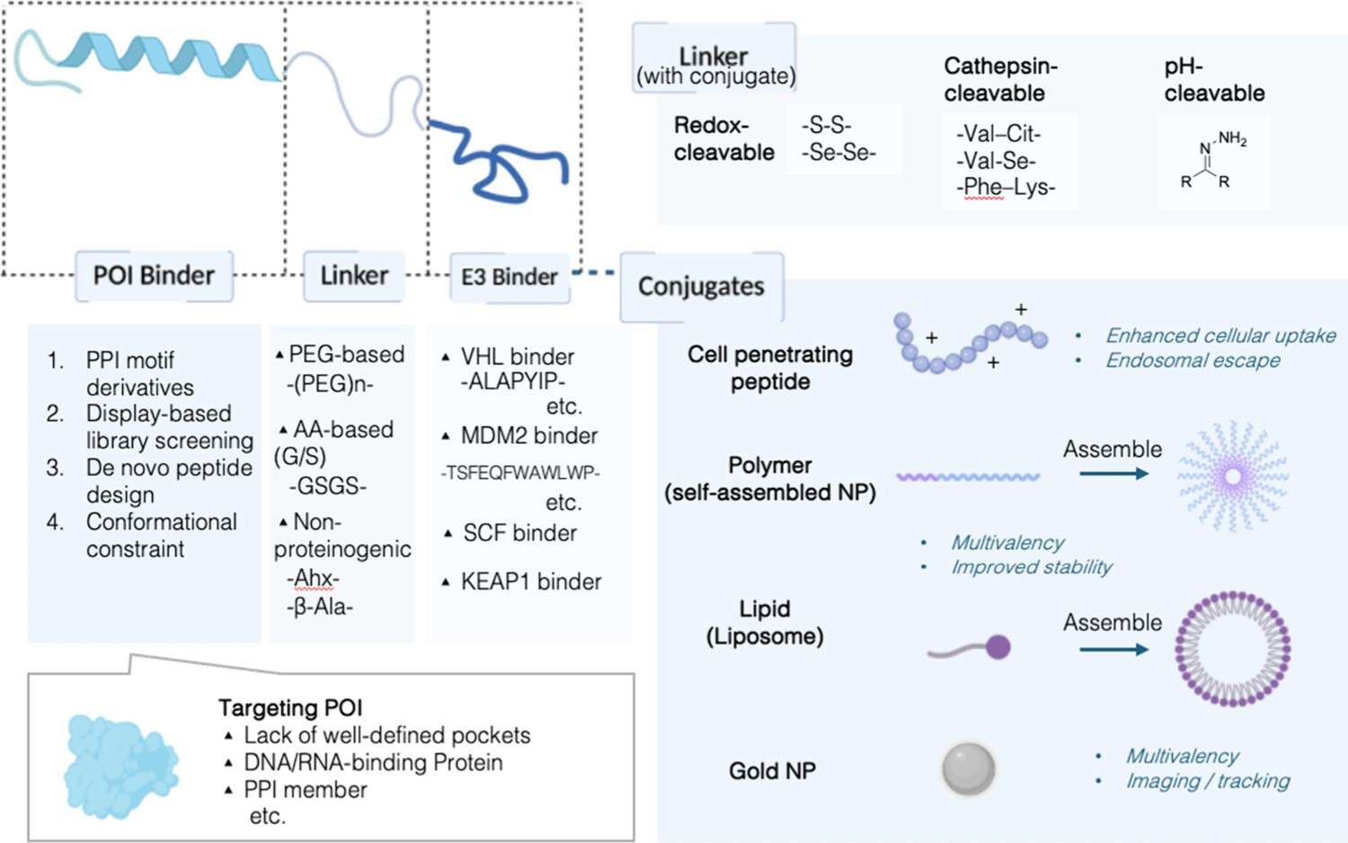 peptide-based PROTACs