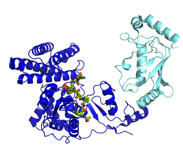 E3 ligase activity assay services for targeted protein degradation