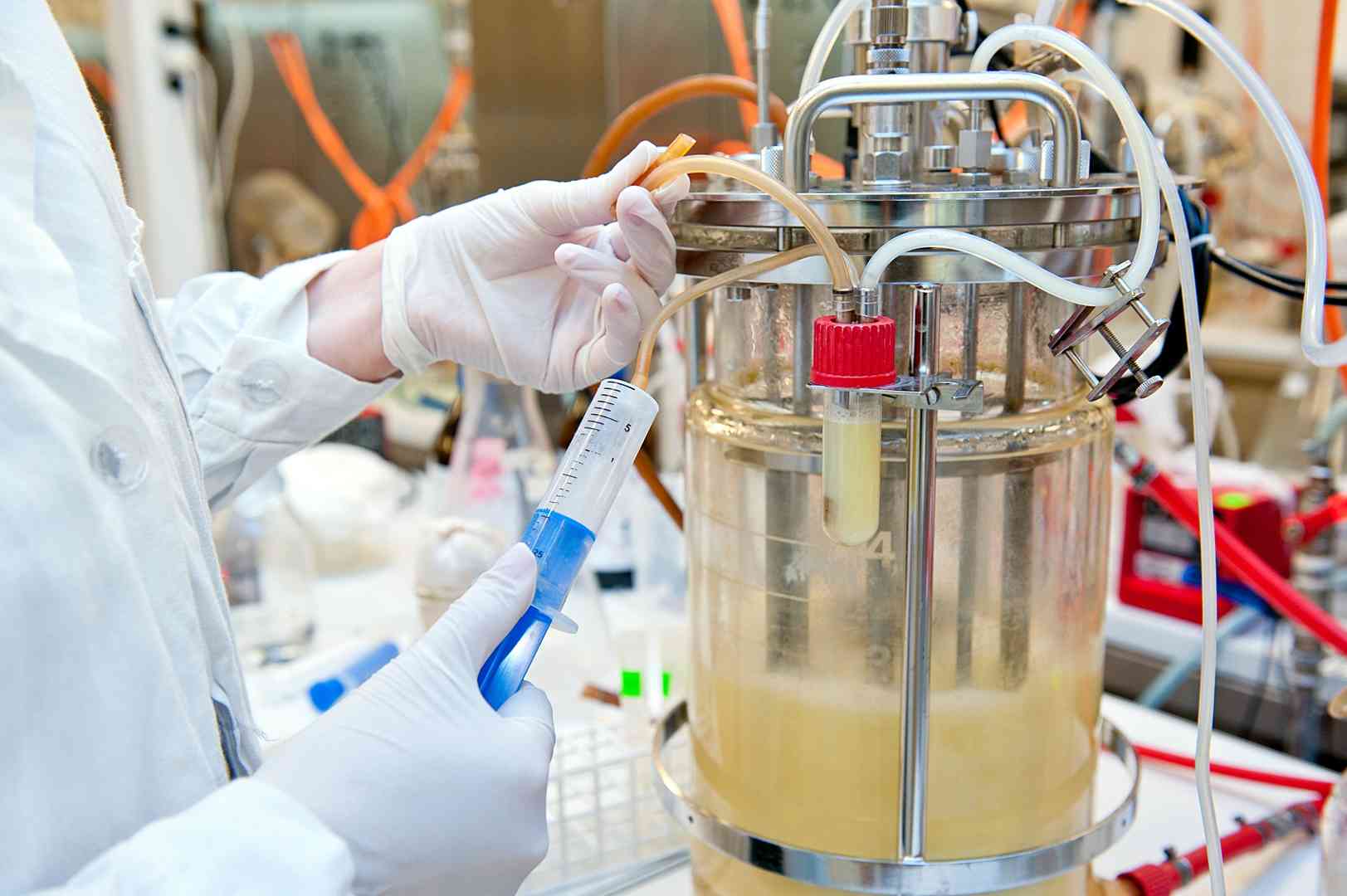 E3 ligase and target protein expression and purification services for targeted protein degradation