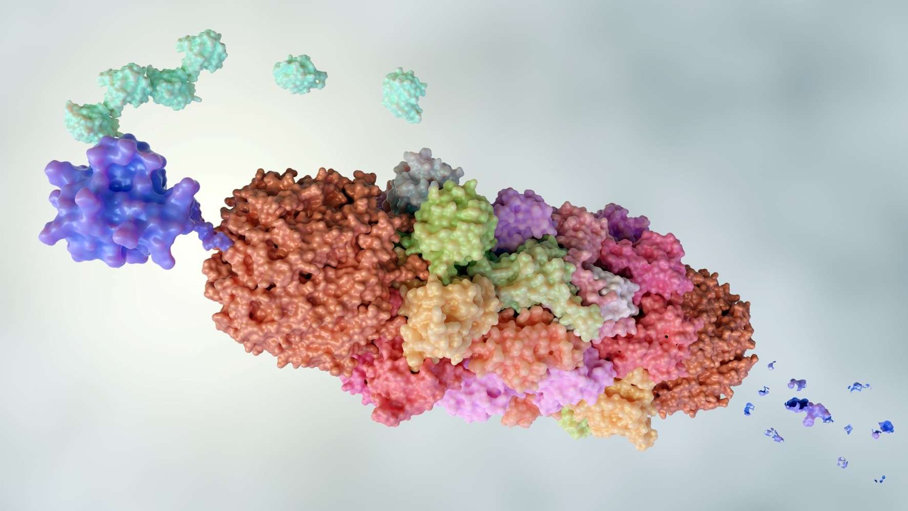 Custom protein ubiquitination services for targeted protein degradation