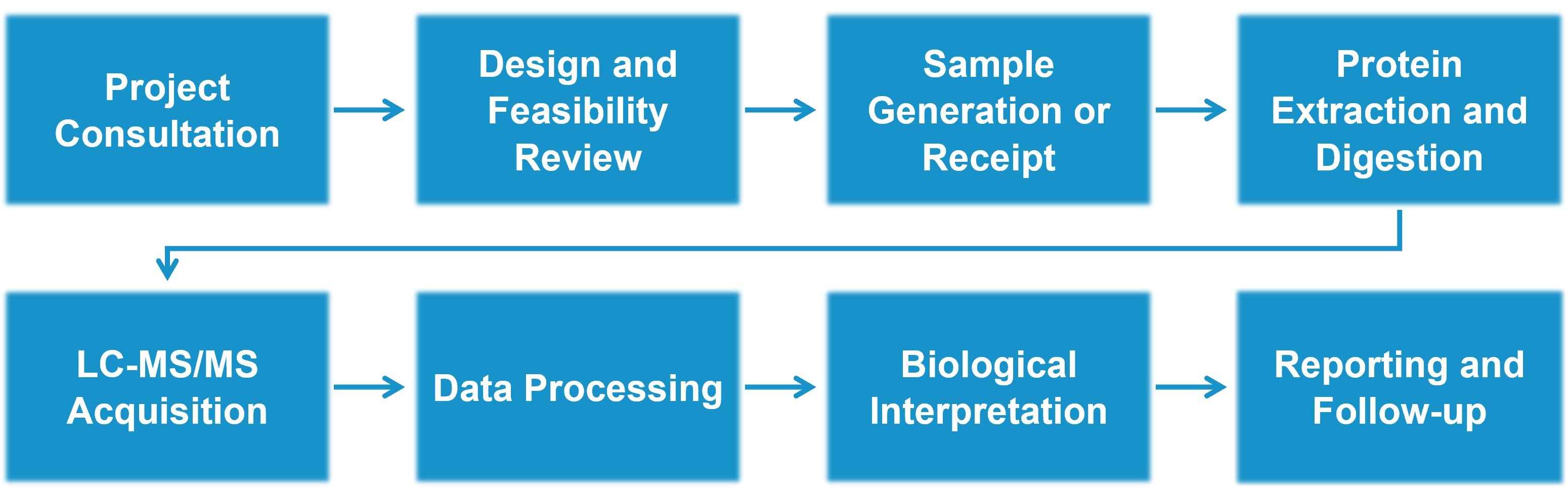 Mass spectrometry-based protein degradation analysis workflow
