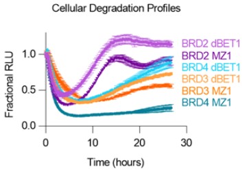 Quantitative live-cell kinetic degradation and mechanistic profiling of protac mode of action (Riching et al., 2018)