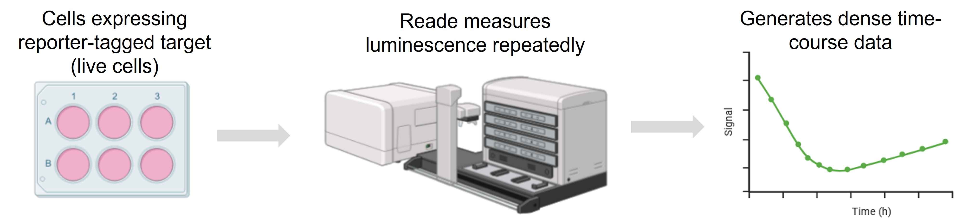 How real-time measurements work