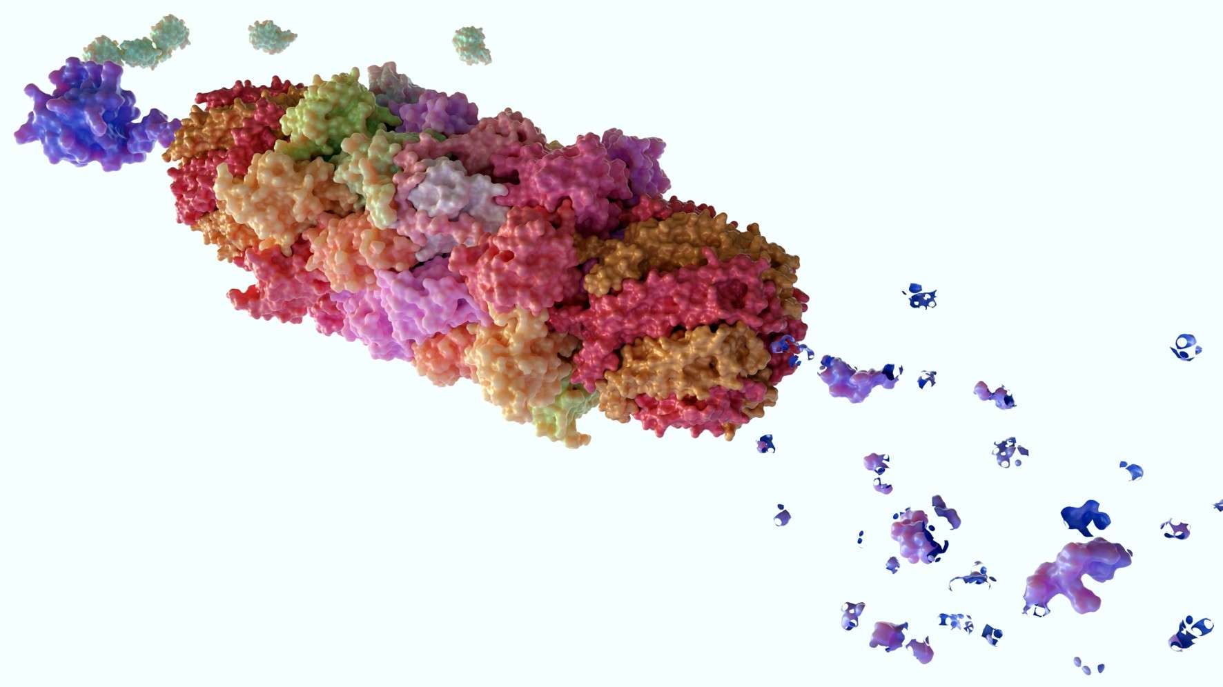 Targeted protein degradation platforms for therapeutic development