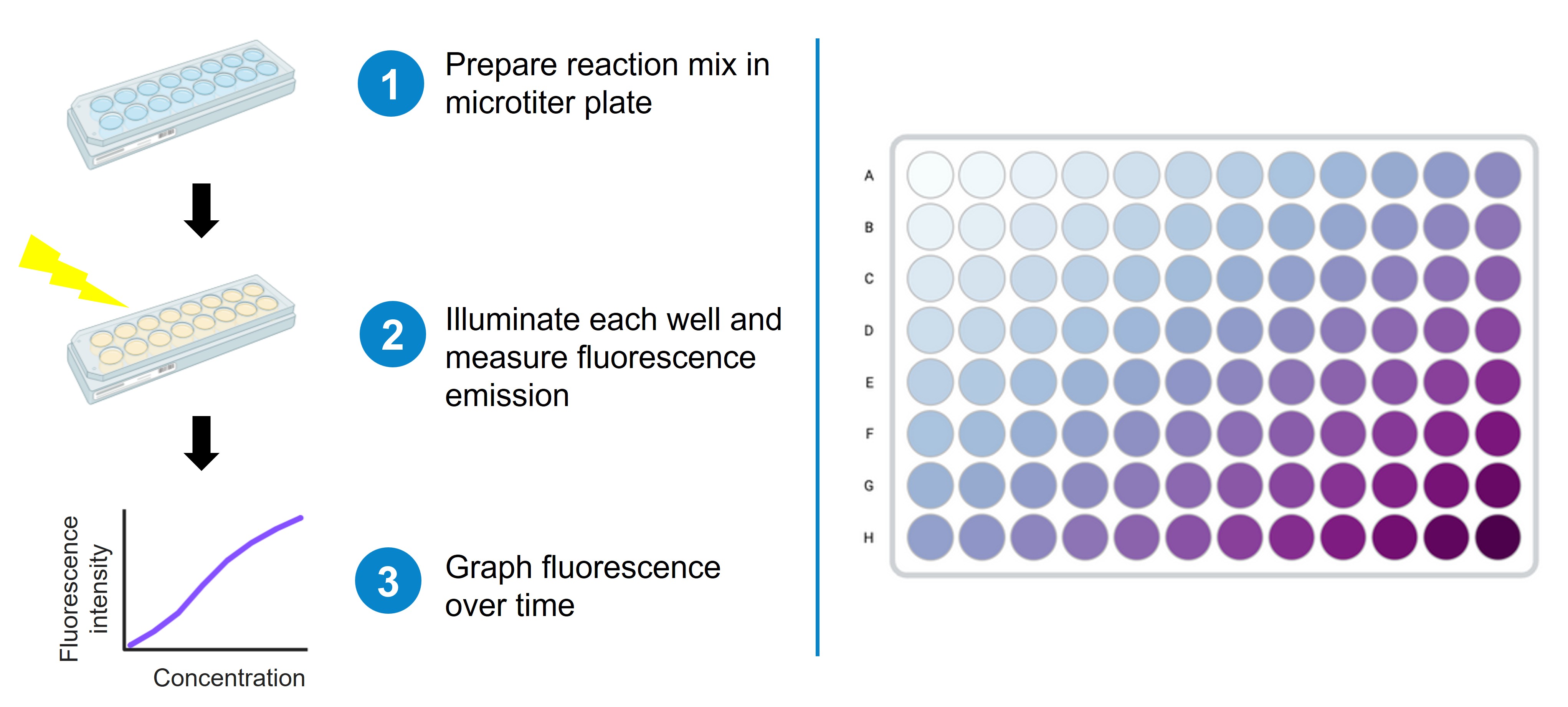 Enzyme activity assay detection methods including fluorescence and colorimetric analysis