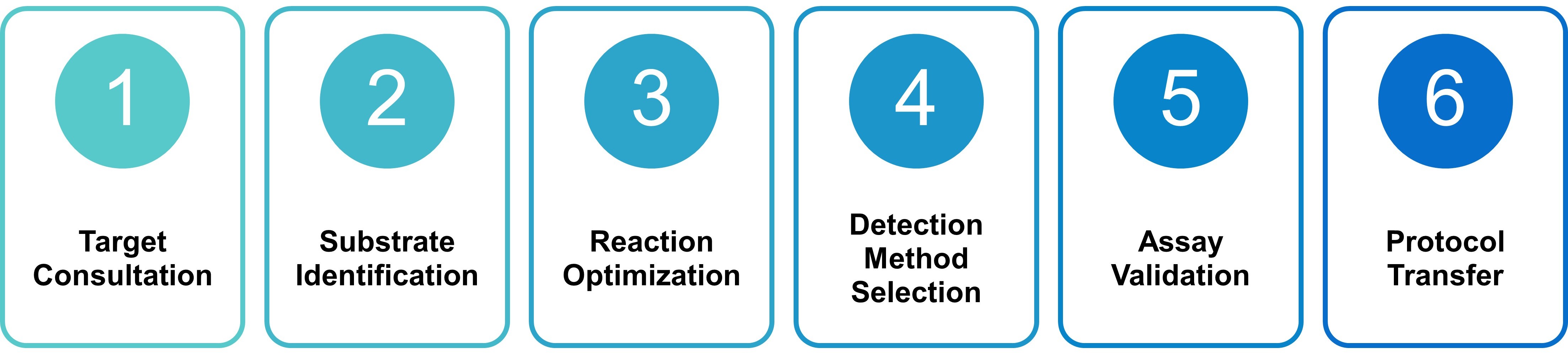 Custom enzyme assay development workflow