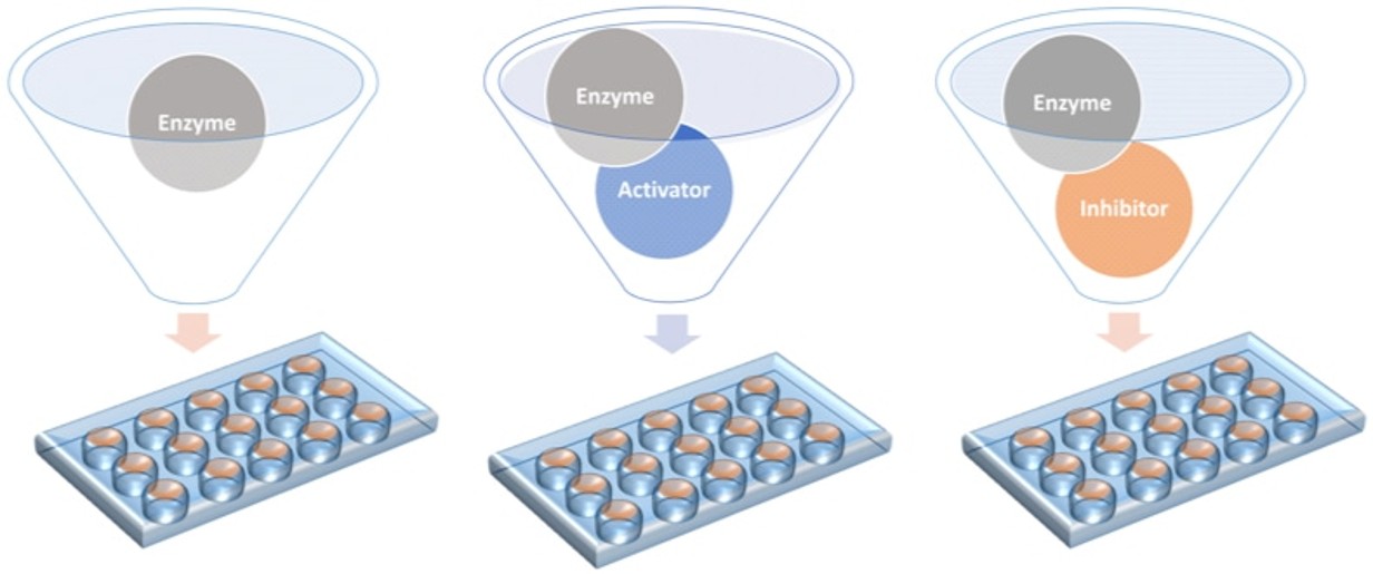 Illustration of different detection modes for enzyme screening