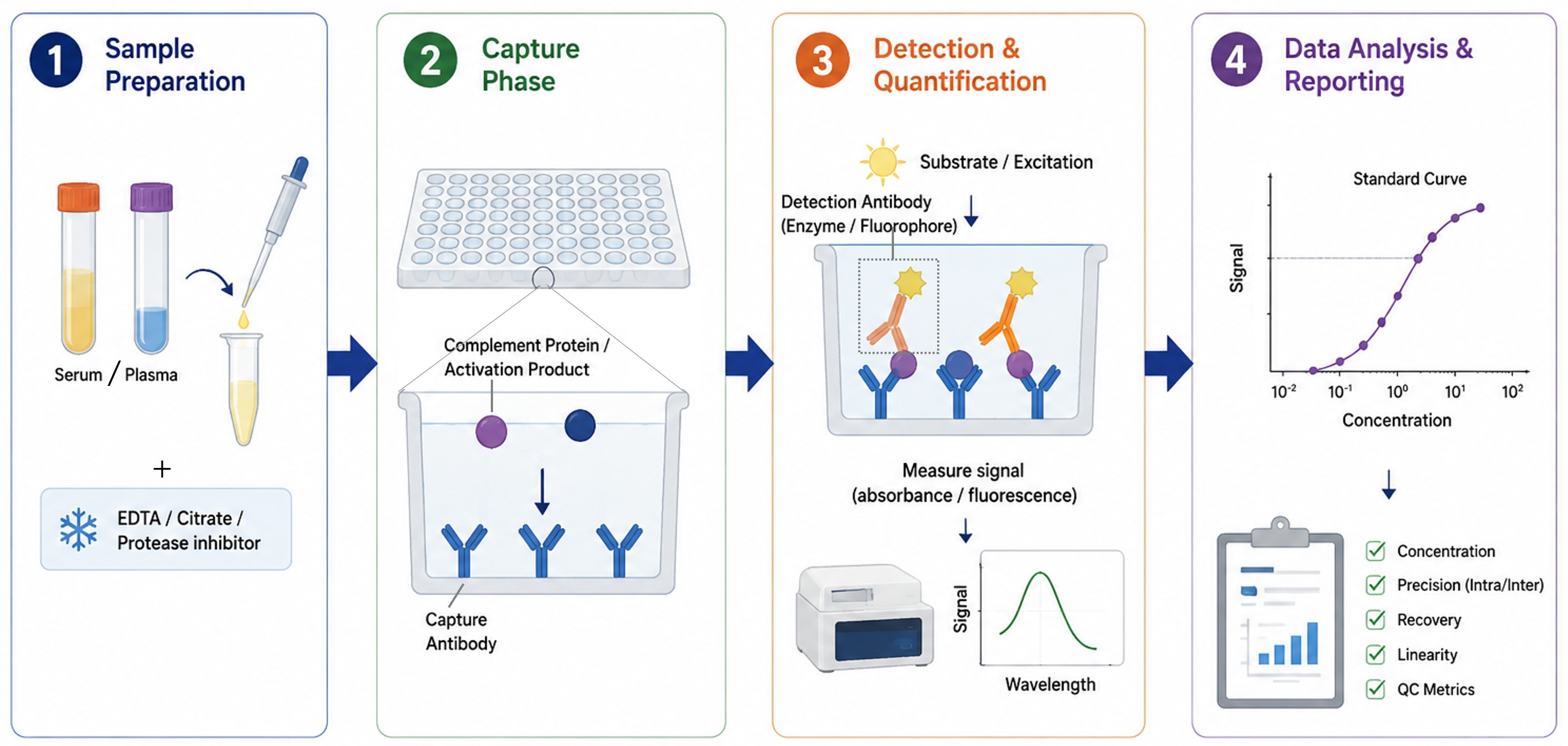 Complement component assay workflow