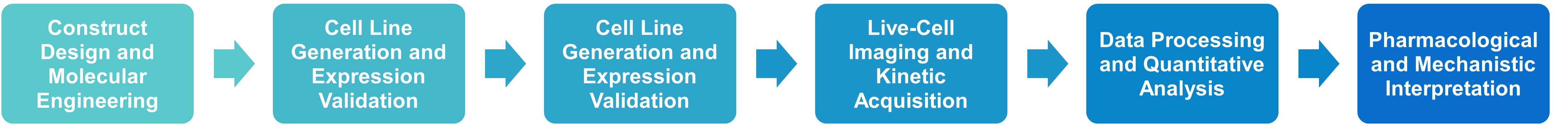 FRET experimental workflow
