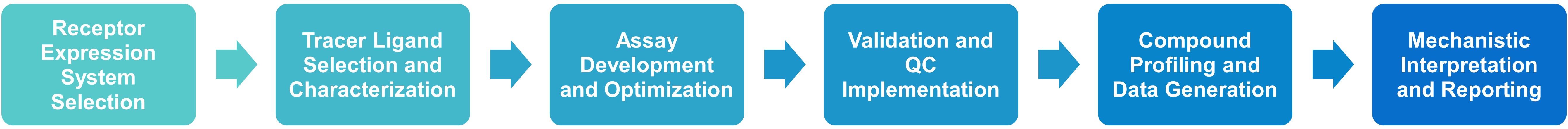 Receptor-ligand binding assay workflow