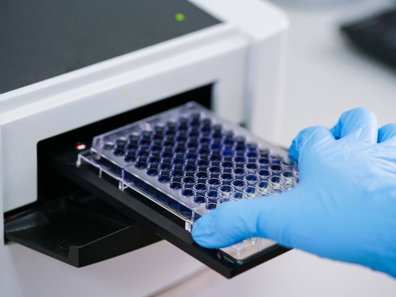 Custom ELISA assay development and biological sample testing services