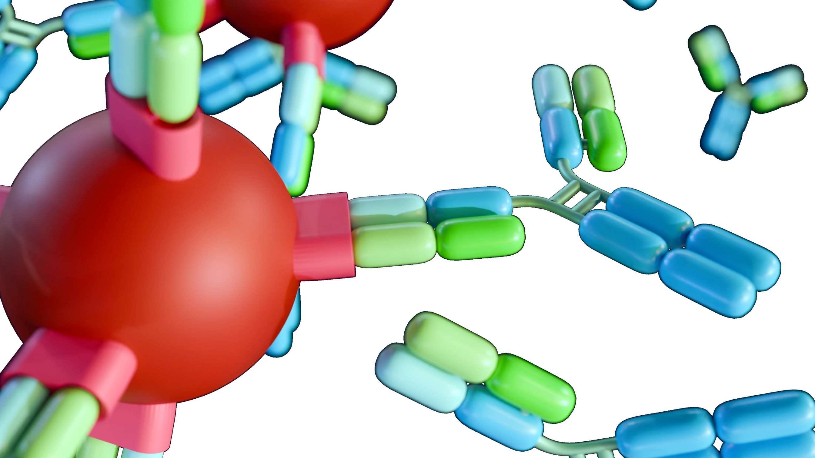 Antigen-antibody binding