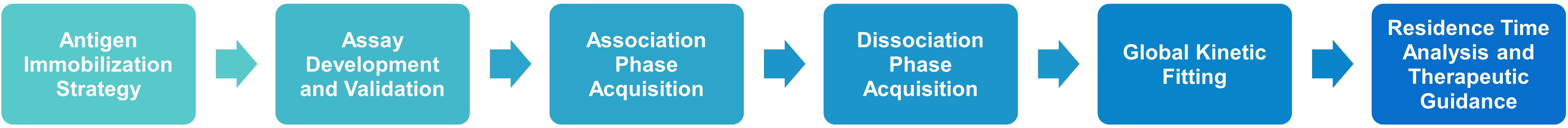 Antigen-antibody binding kinetics workflow