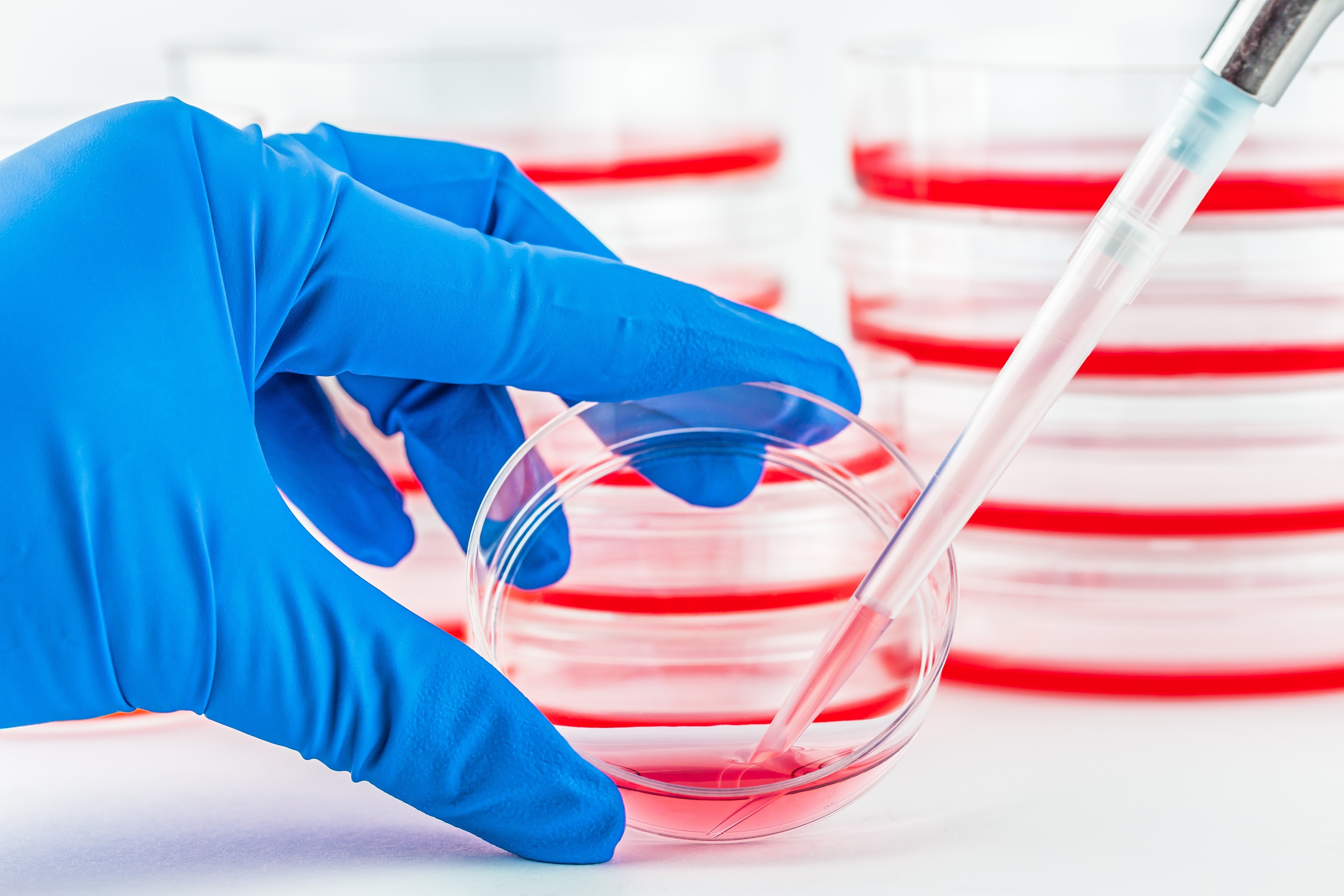 Cell-based potency assays