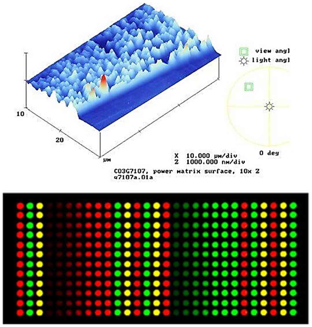 Principle of phosphorylated antibody microarray technology