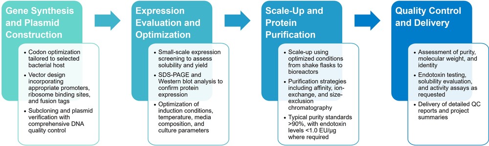 Integrated service workflow of bacterial expression