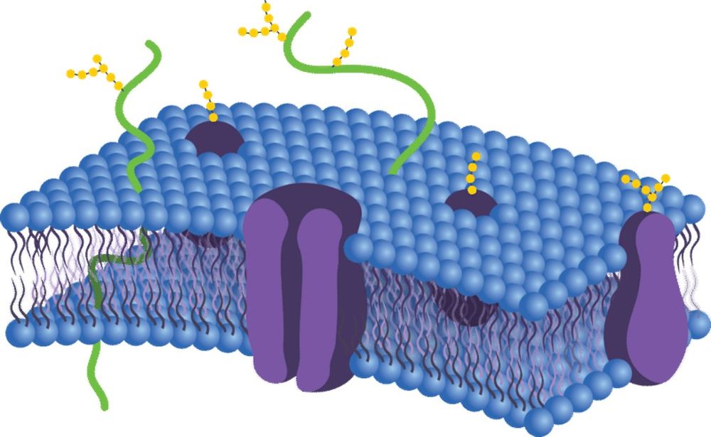 Membrane proteins