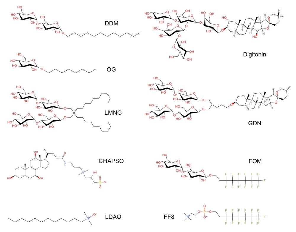 Commonly used detergent families for protein purification