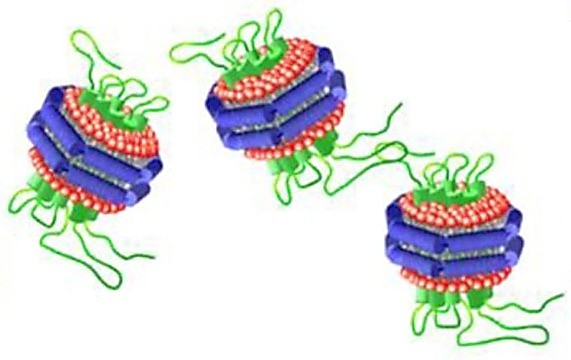 Schematic illustration of a MSP nanodisc with a 7-transmembrane protein embedded