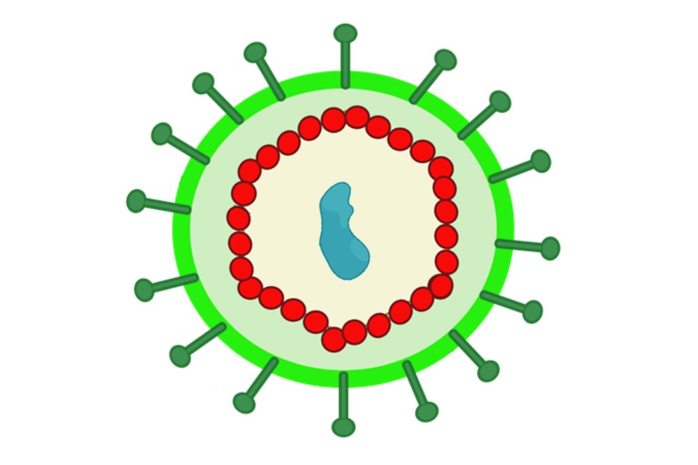 Enveloped VLPs technology for membrane protein production