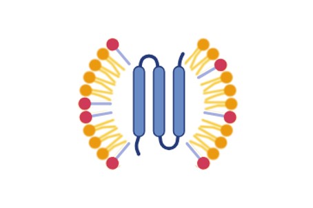 Detergent screening for protein purification