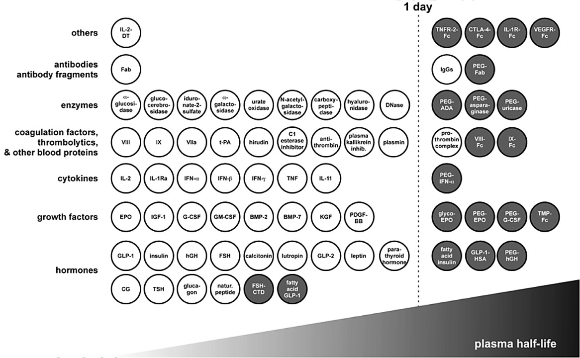 Half-life extension of biotherapeutics