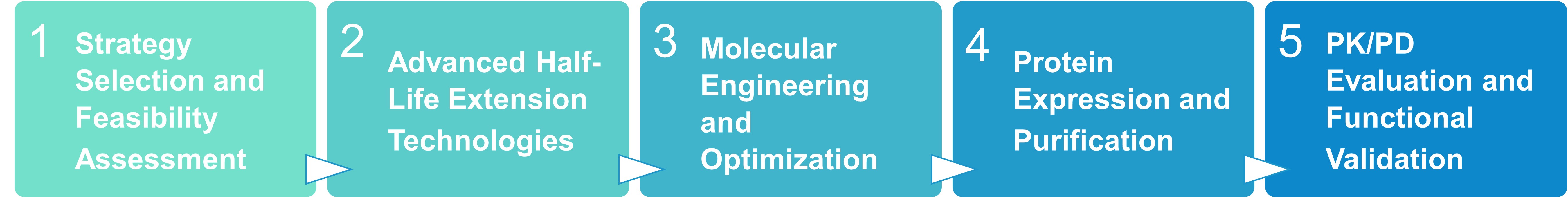 Workflow for biotherapeutic half-life extension services
