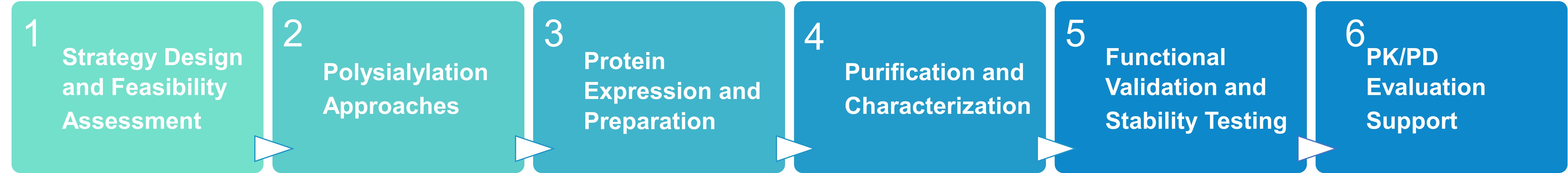 Workflow for polysialylation services