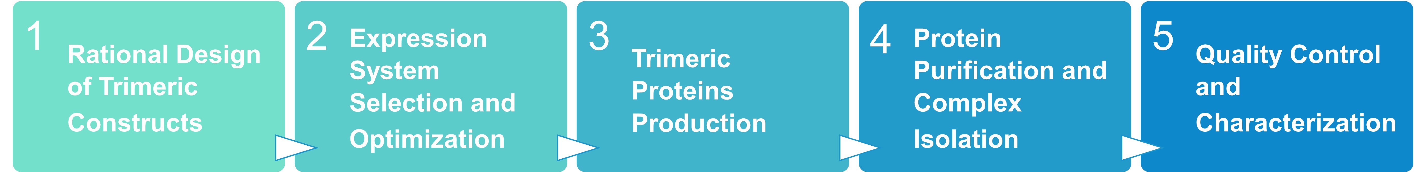 Workflow for trimeric protein production