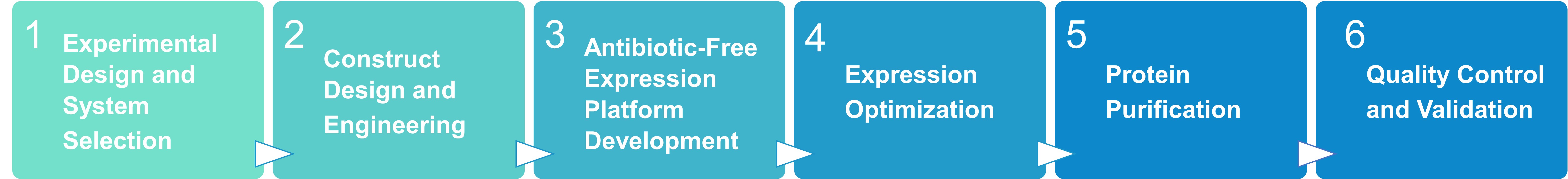 Workflow for antibiotic-free expression