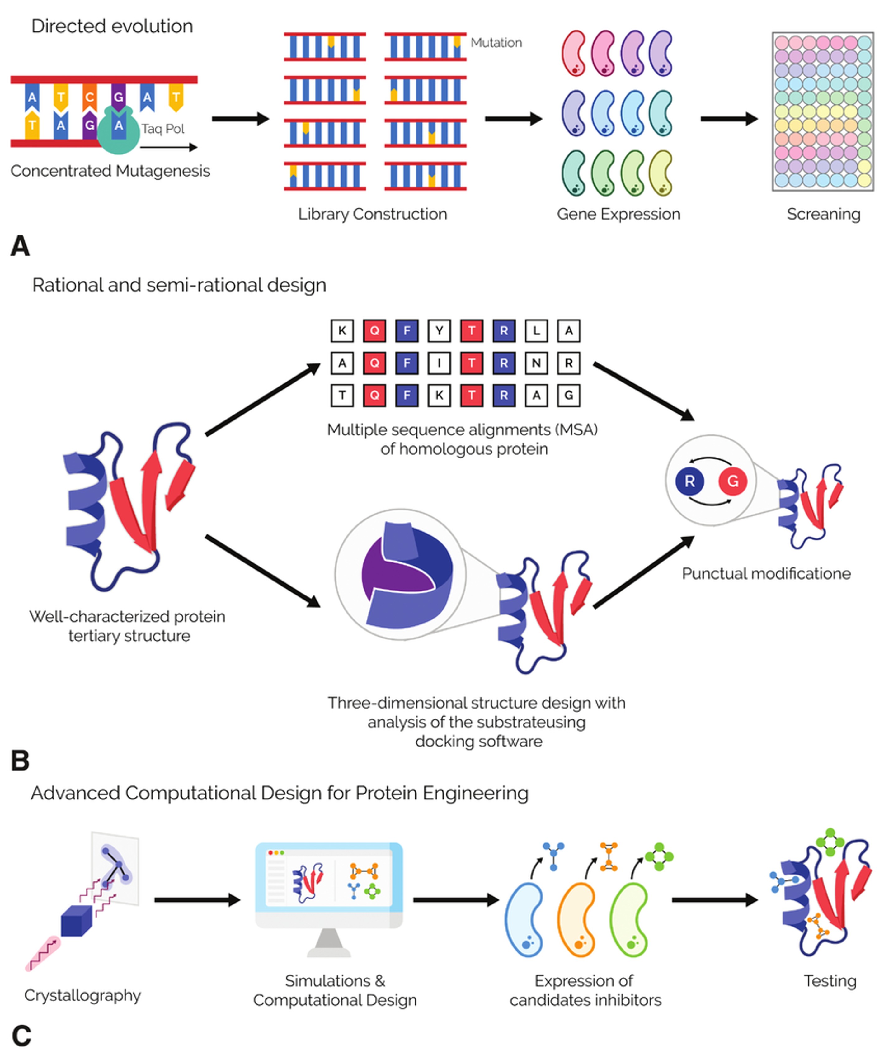 Different protein engineering approaches