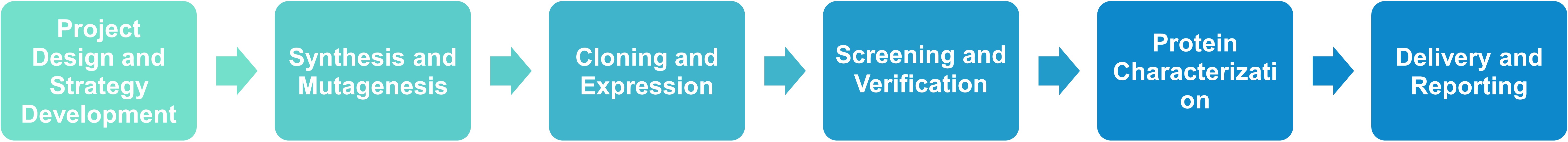 Protein mutagenesis and structural modification service workflow