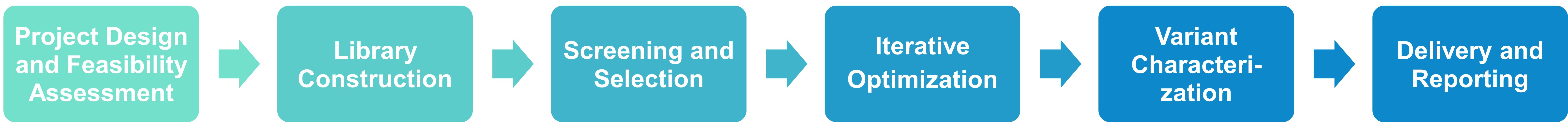Workflow for protein engineering services at Profacgen