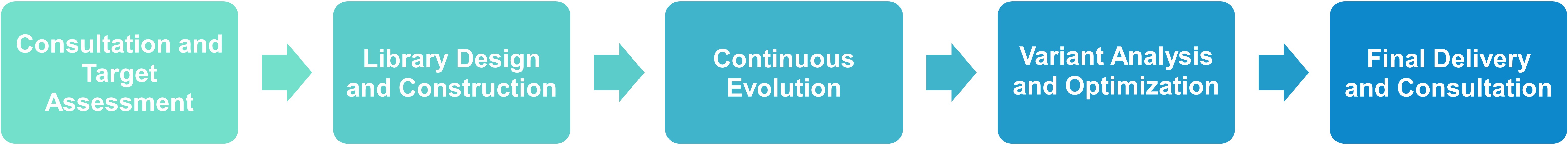 Workflow for phage-assisted continuous evolution services