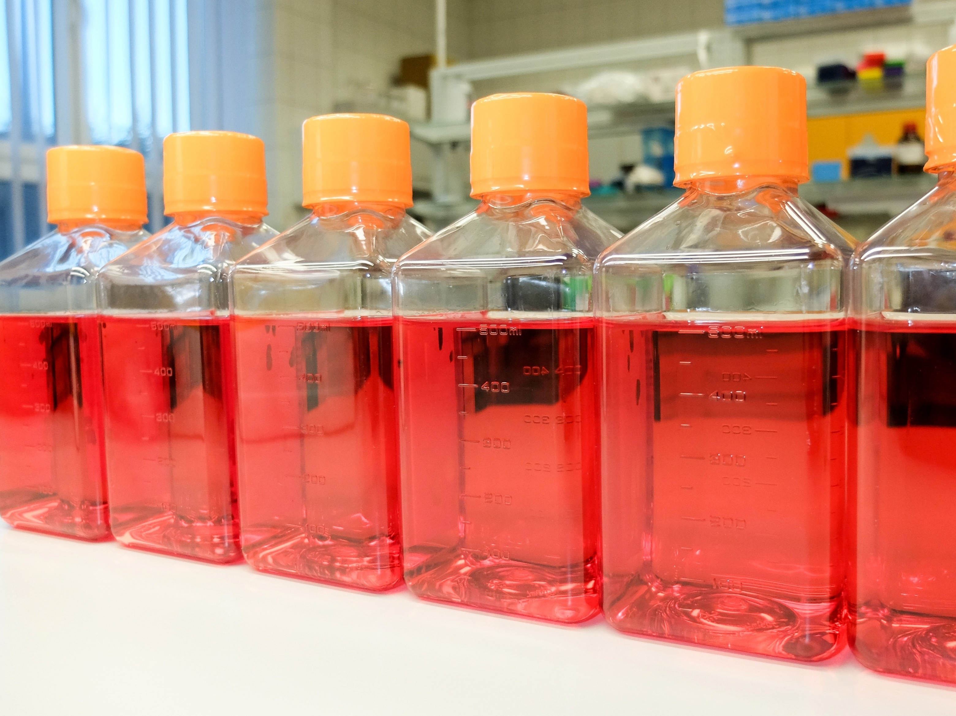 Cell culture media development and quality control services