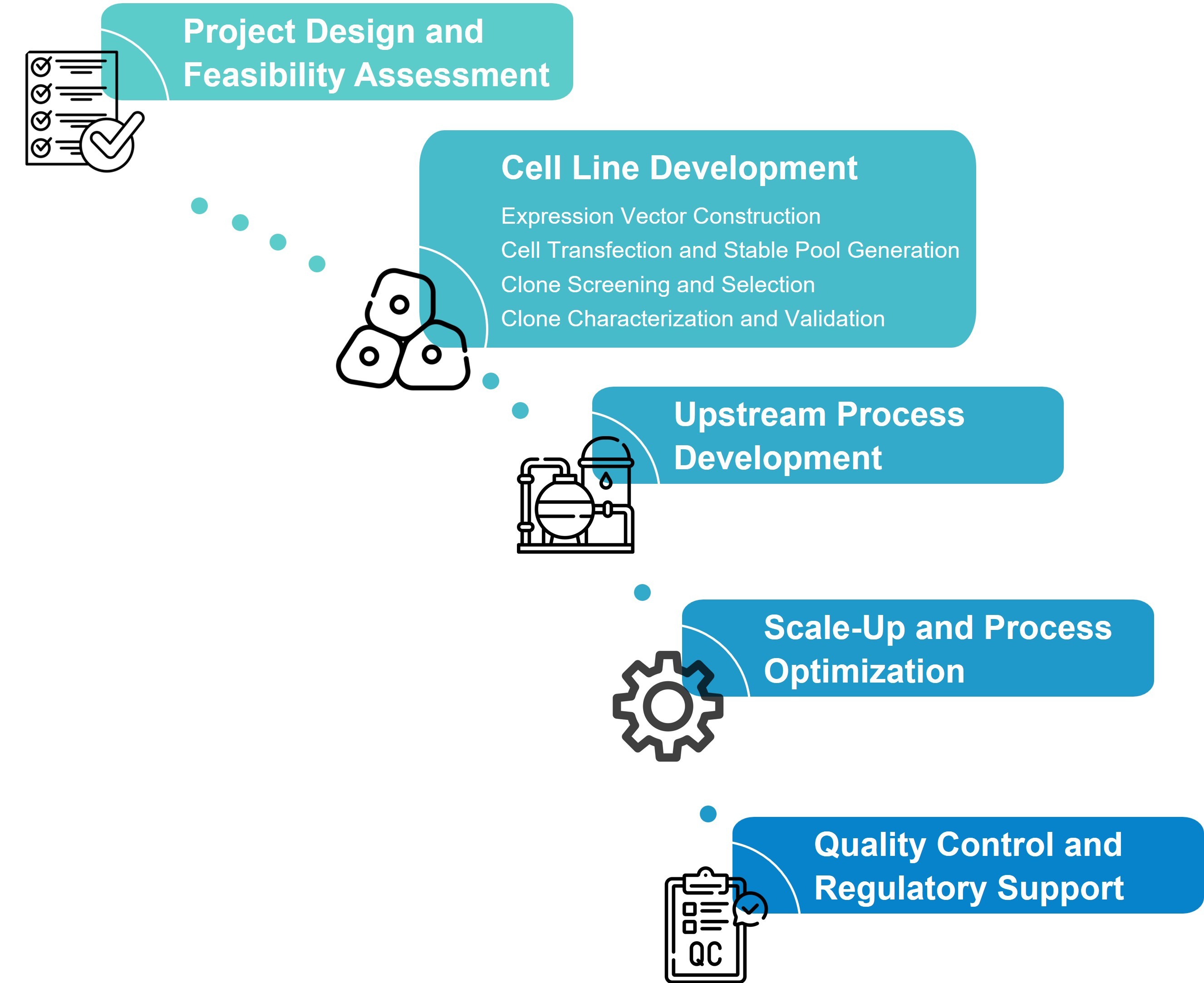 Workflow for cell line development services
