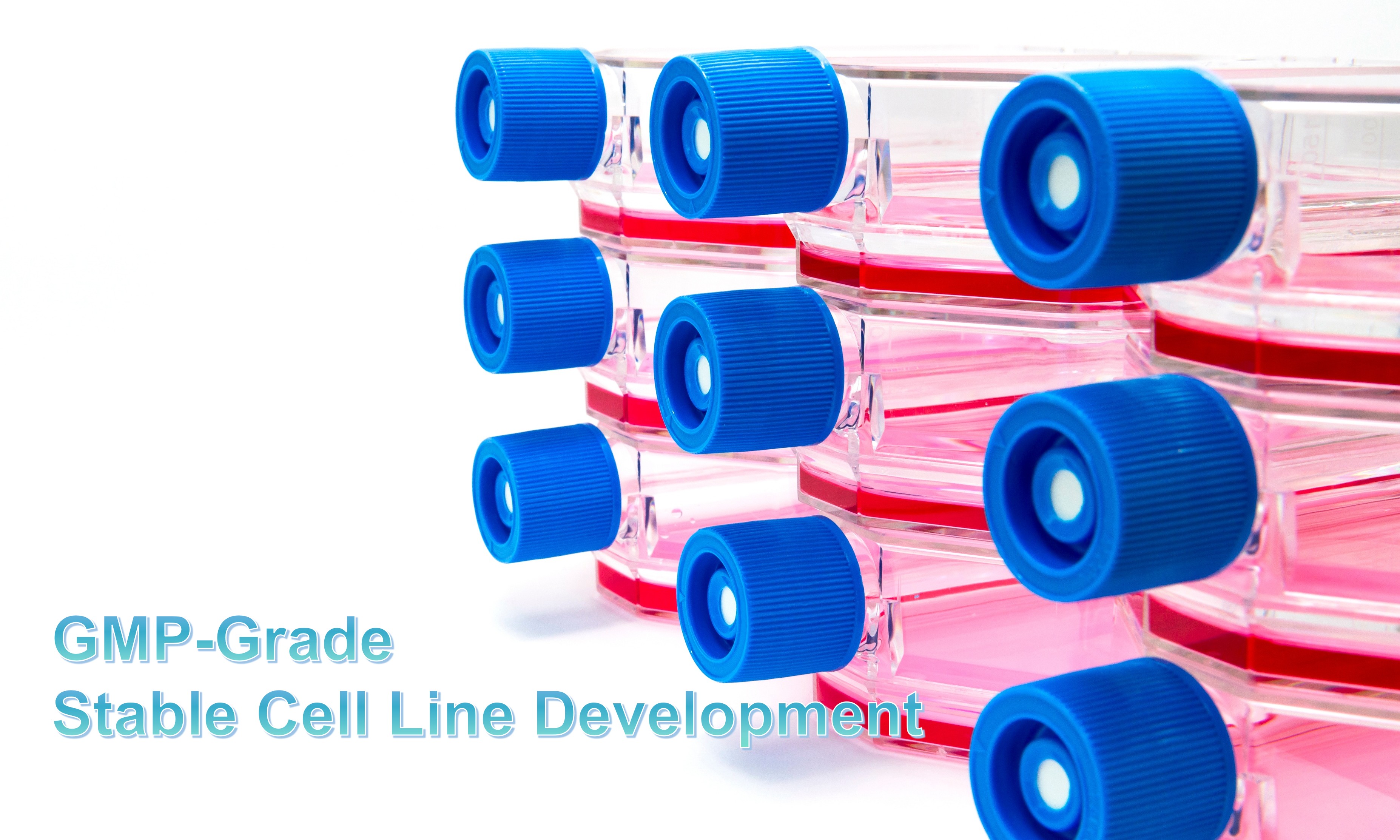 GMP-grade stable cell line development services at Profacgen