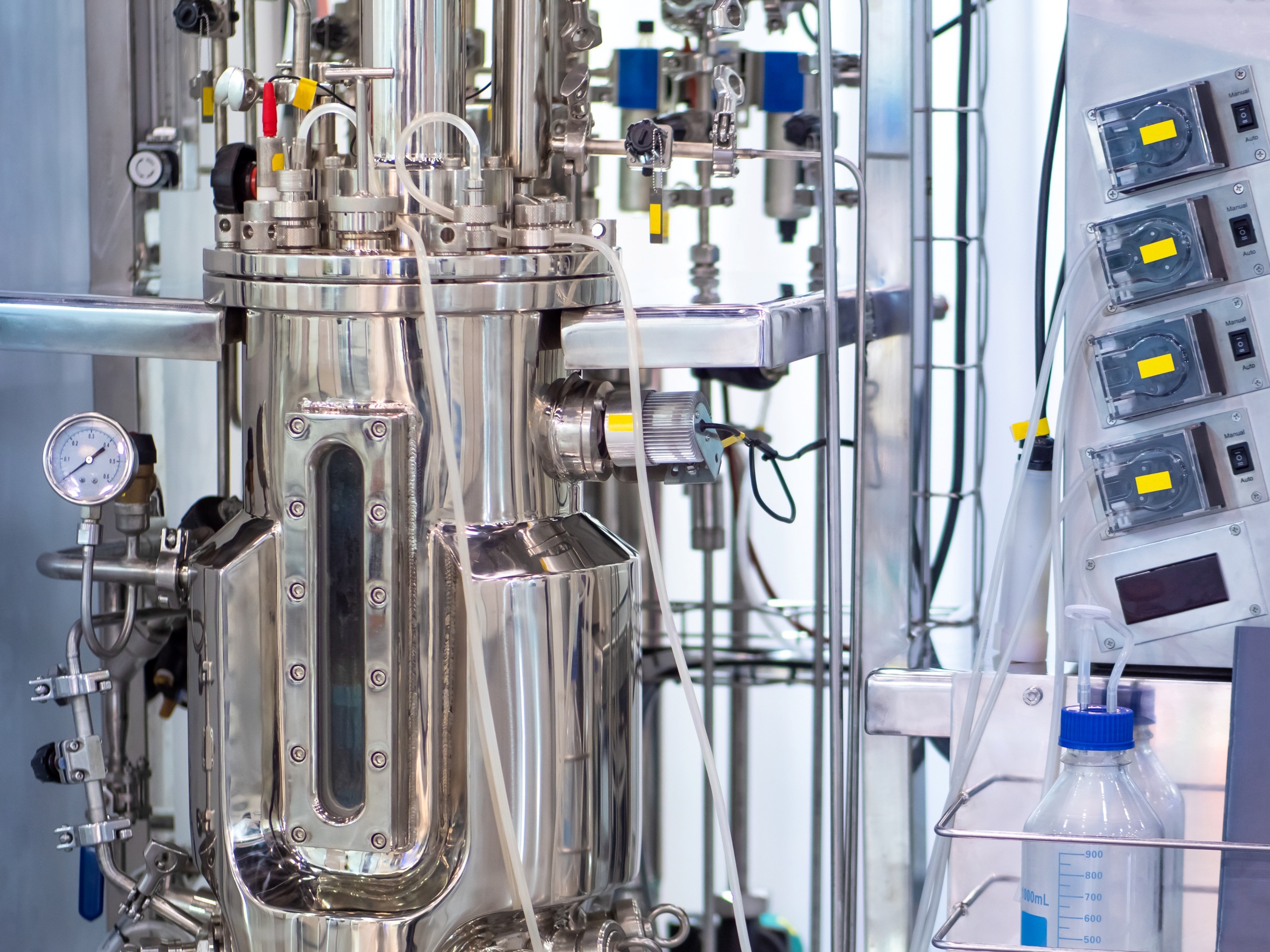 Fermentation process development services