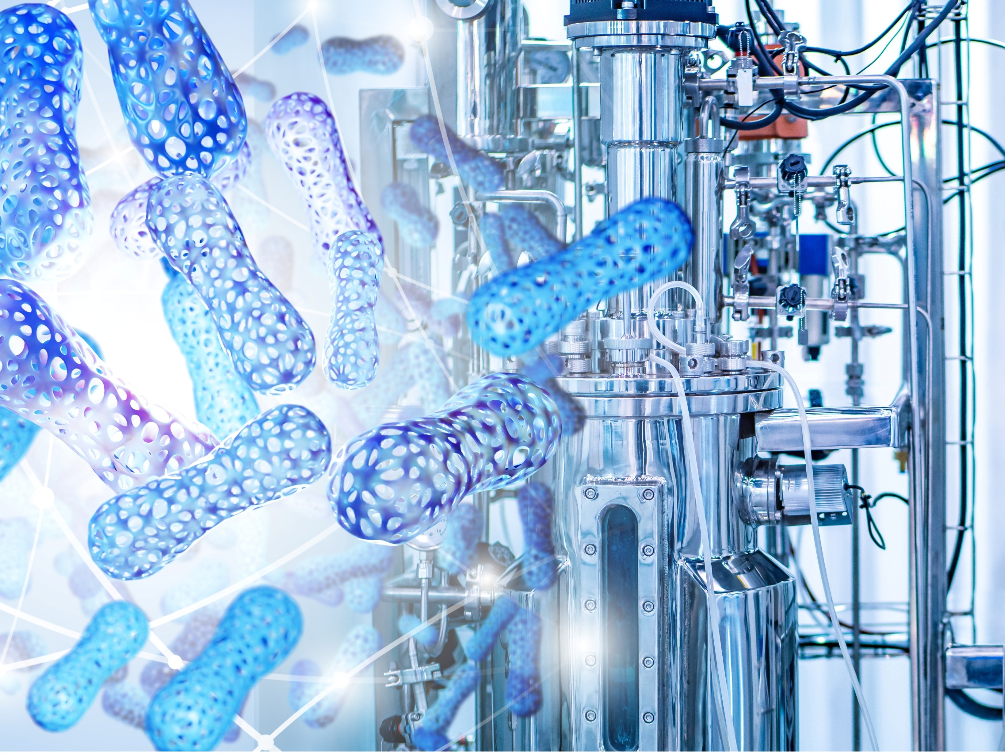 Anaerobic fermentation services