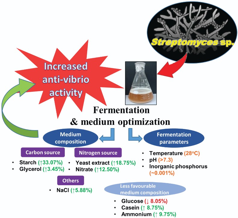 Fermentation and extraction of anti-Vibrio compounds from Streptomyces