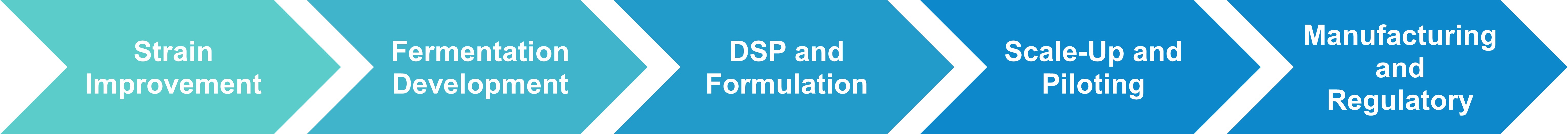 Workflow for fermentation process development services