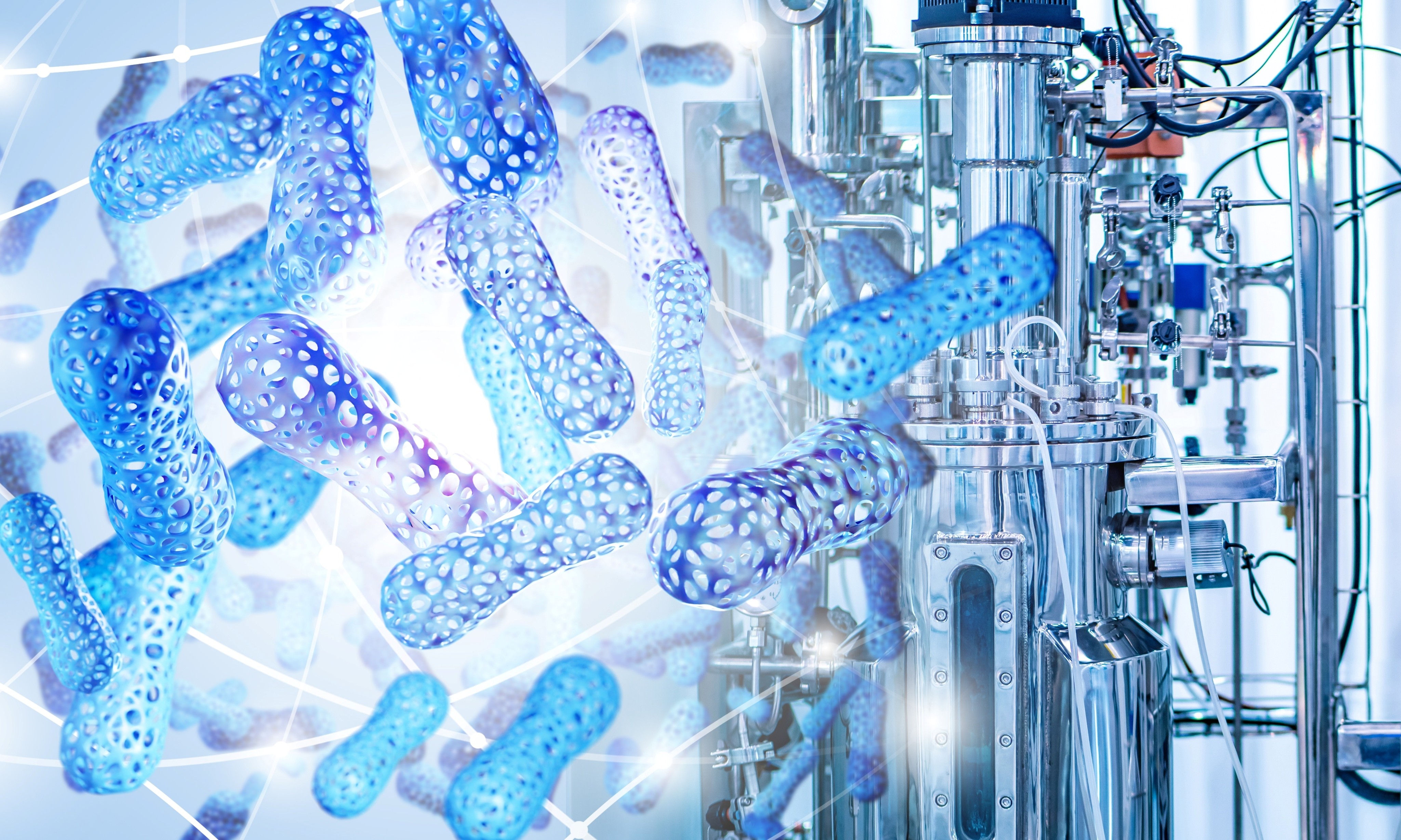 Anaerobic fermentation services at Profacgen