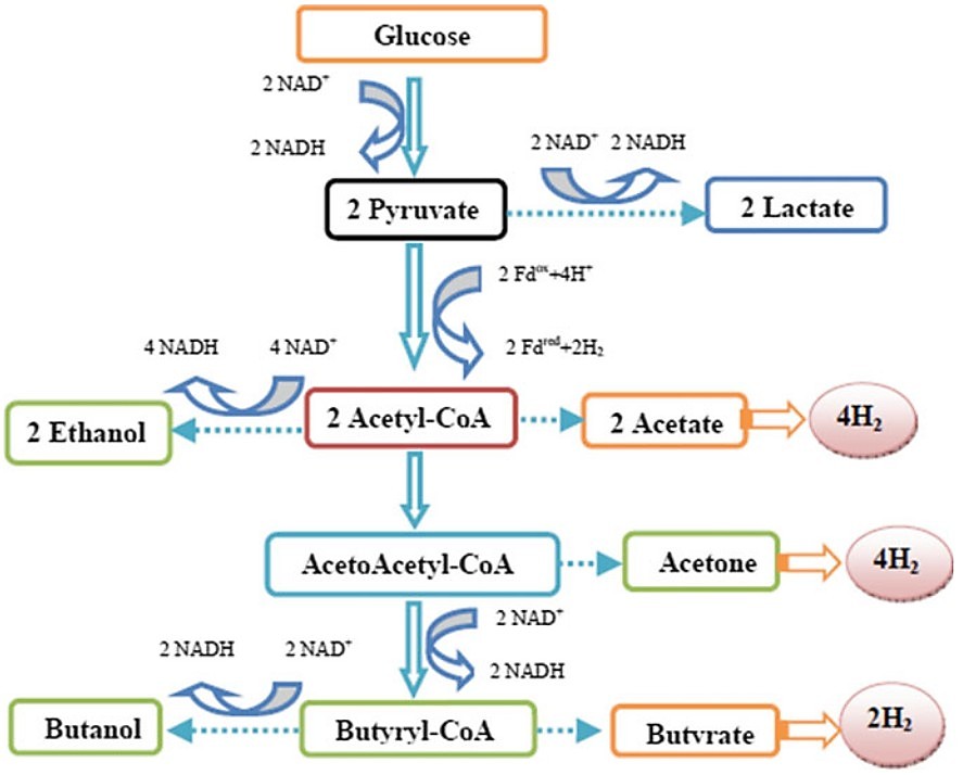 Biohydrogen production: integrated approaches to improve process efficiency