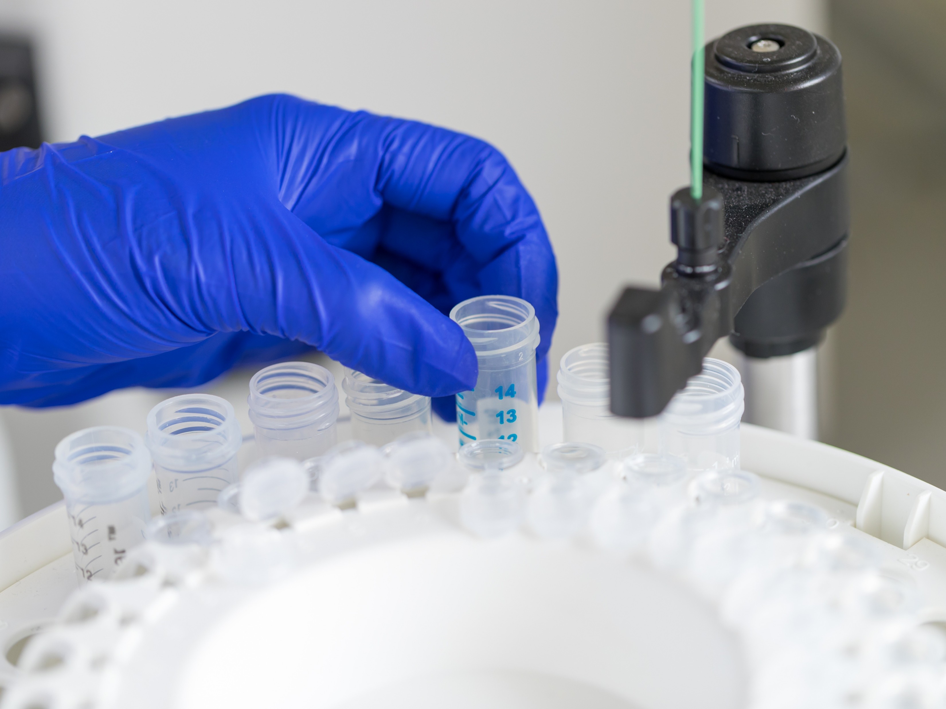 Purification process development services at Profacgen