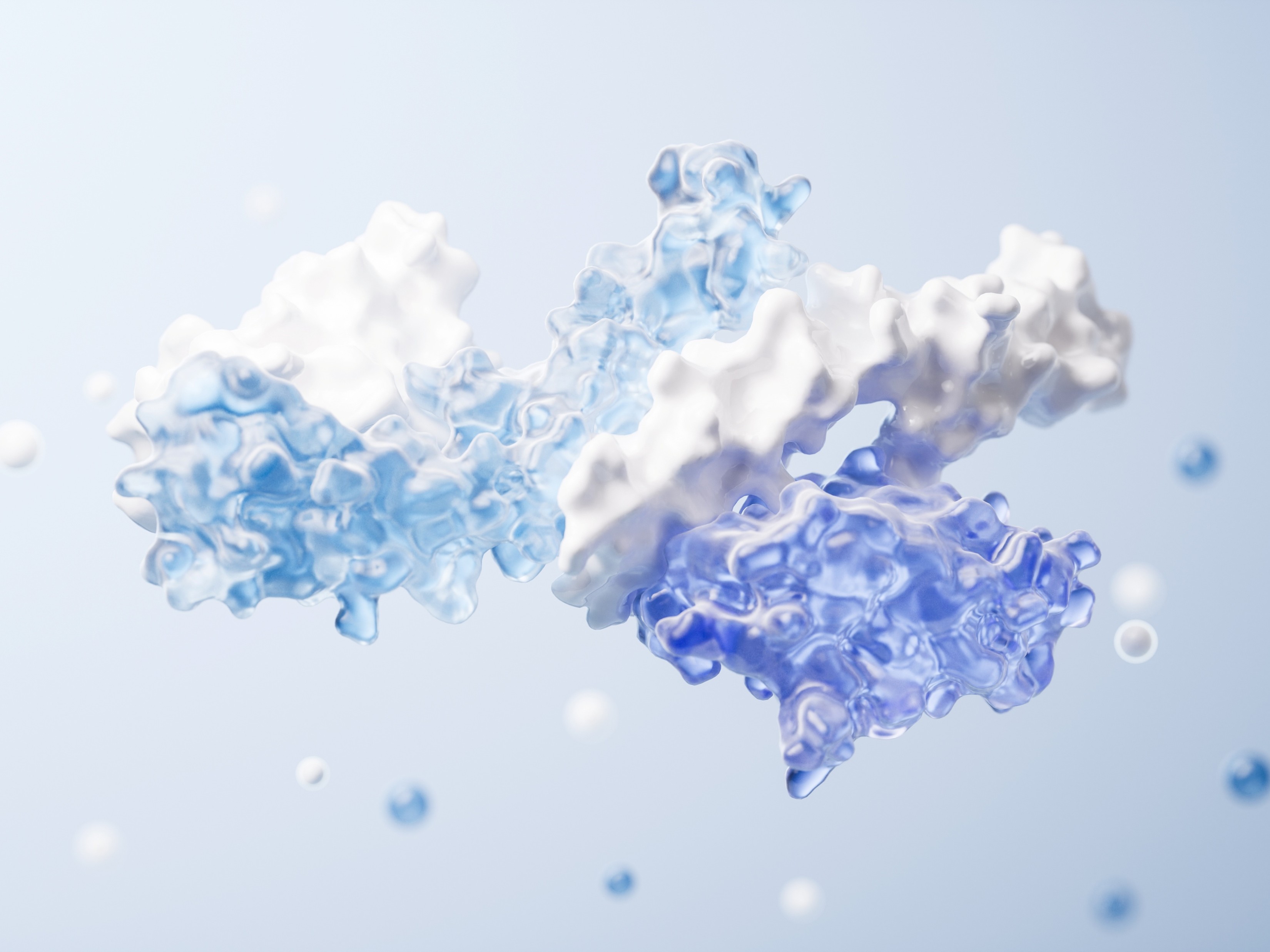 Post-translational modification characterization services