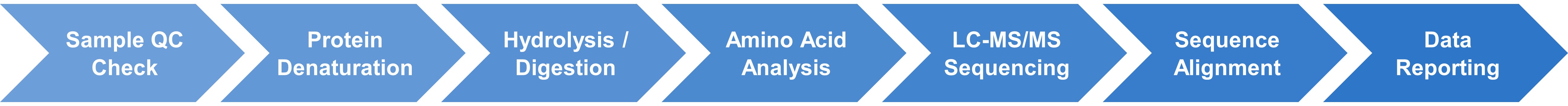 Amino acid sequence and composition analytical workflow