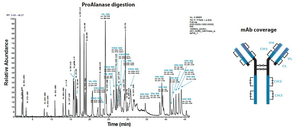 Disulfide bond mapping services