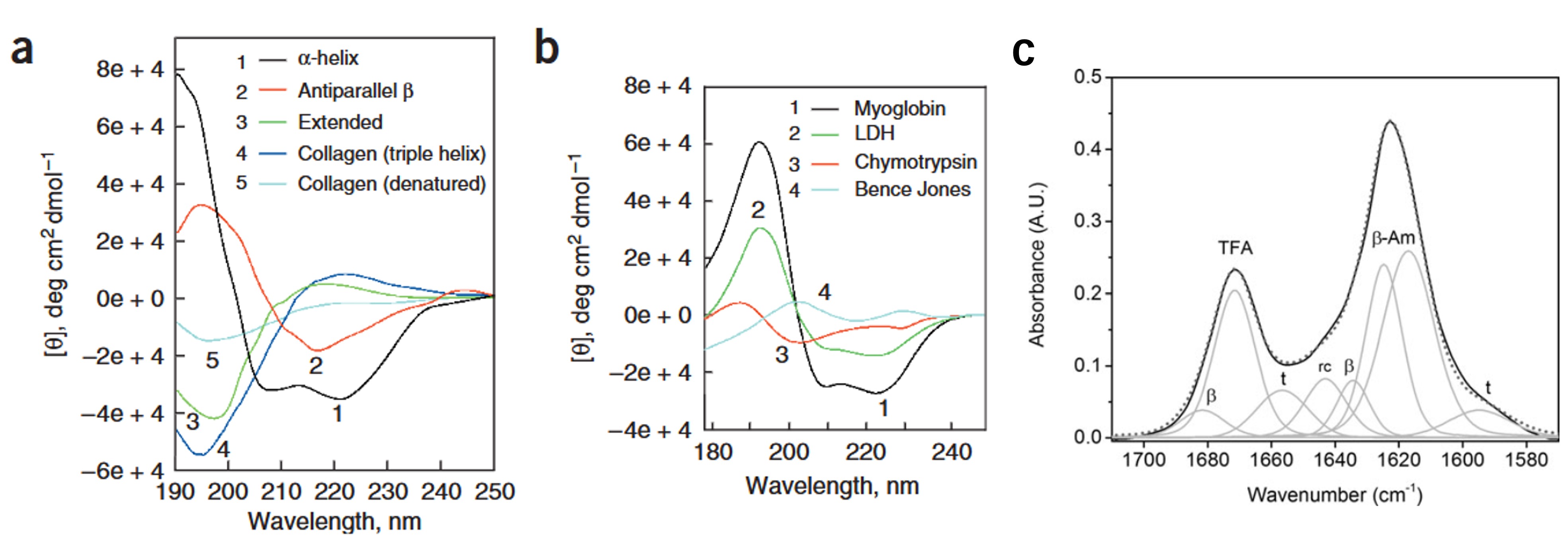 Secondary structure characterization by circular dichroism and FTIR