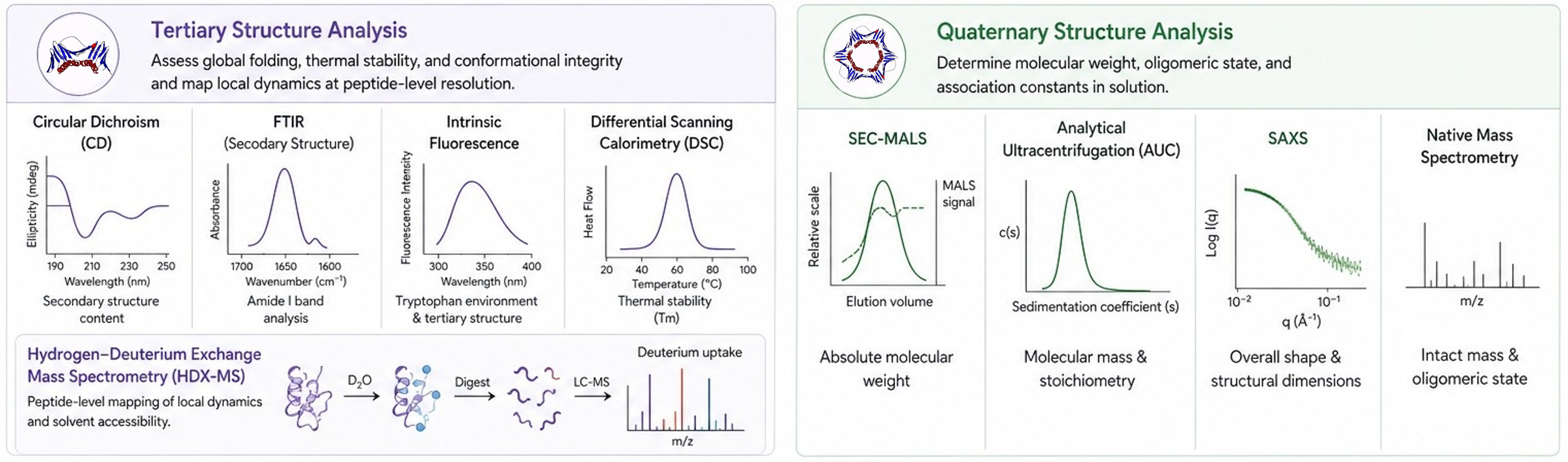 Tertiary and quaternary structure characterization services by Profacgen
