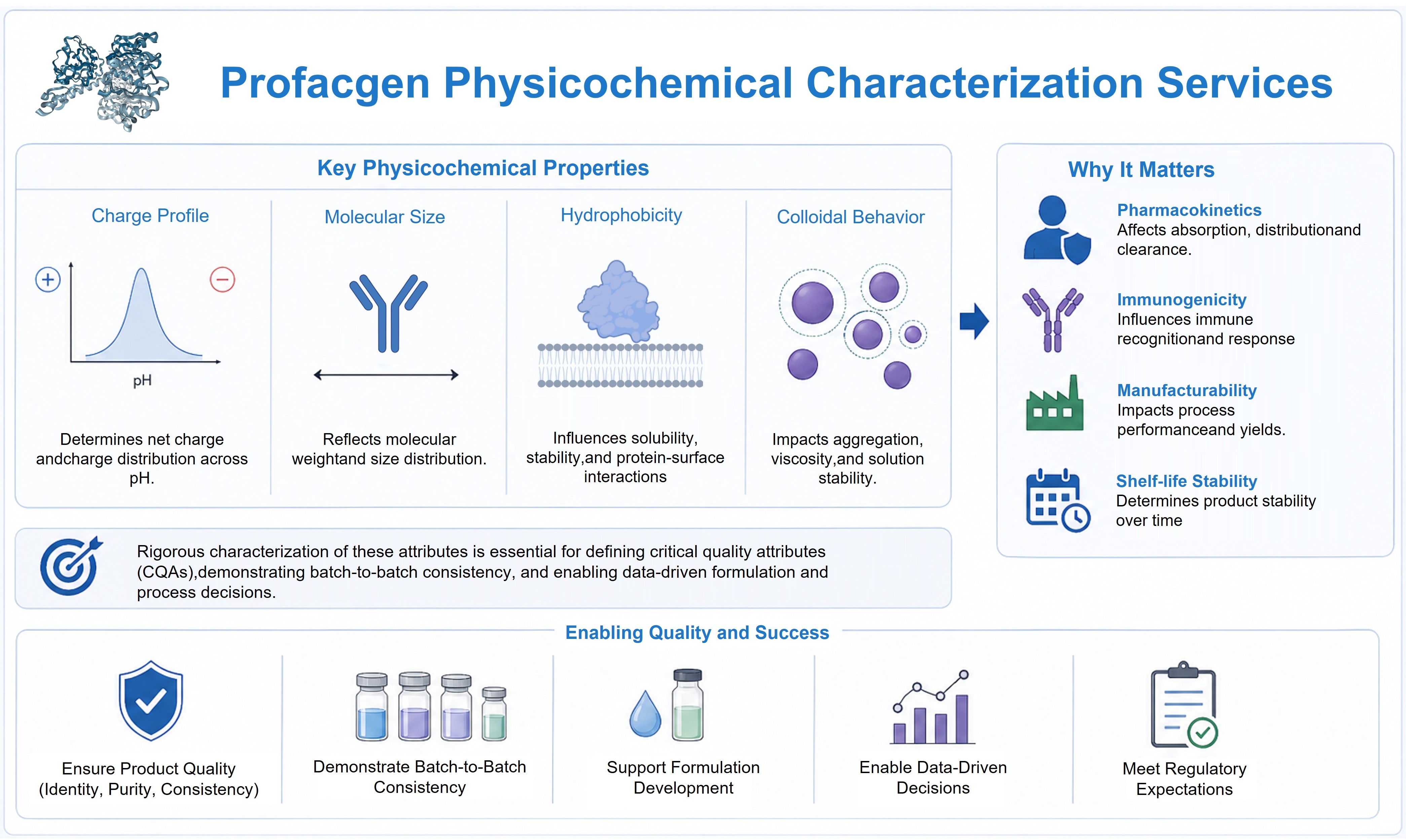 Physicochemical characterization of biologics